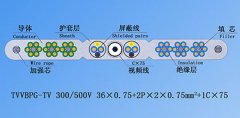 扁平絞合型排列帶屏蔽、鋼芯和視頻線電梯電纜