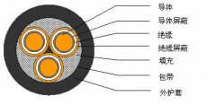 3*2.5，3*3，3*4，3*6，3*10，3*16，3*25屏蔽電纜結構圖