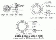 KYJV，KYJVP，KYJV22額定電壓0.6/1kV交聯(lián)聚乙烯絕緣控制電纜