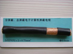 DJYPVP 2*2*0.75 分屏蔽、總屏蔽電子計(jì)算機(jī)屏蔽電纜