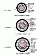 PTYA23、PTYA22鐵路鎧裝信號(hào)電纜